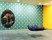 Turtle in museum Cheap flights to Toulouse: Turtle in museum