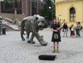 Oslo, tiger Oslo, tiger