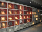 Origins Centre in Johannesburg Cheap flights to Johannesburg: Origins Centre
