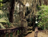 Orlando, Mount Dora