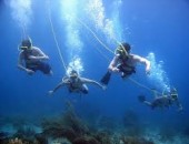Aruba, scuba Aruba, scuba