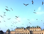 Belvedere Castle Cheap flights to Vienna: Schloss Belvedere