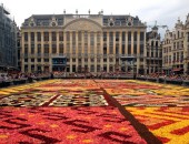 Brussels, flowers