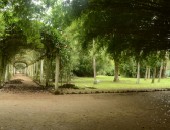 Rio, garden Rio, garden