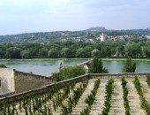 Avignon, view