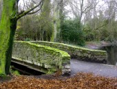 Dublin, Dublin Park