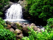 Jamaica, Blue Mountains Jamaica, Blue Mountains