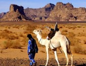 Libya, camel