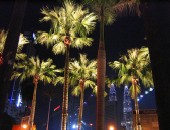 Kuala Lumpur, palm trees