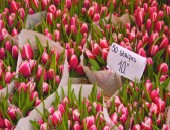 Amsterdam, Flower Market Amsterdam, Flower Market