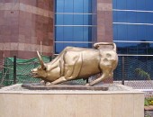 Islamabad, bull Islamabad, bull