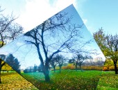 Warsaw, park Warsaw, park