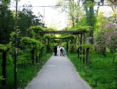 Bucharest, parks