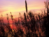 Cheap flights to Valencia Valencia, Albufera