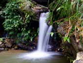 Trinidad and Tobago, waterfall
