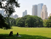 Cheap flights New York Cheap flights New York
