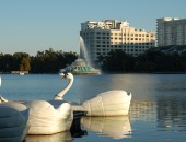 Orlando, Lake Eola Orlando, Lake Eola