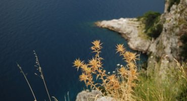Hit the road to Split for £59!