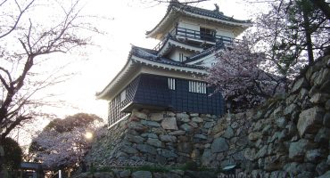 Japan: welcome spring at a sakura festival