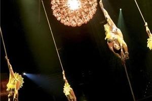 Make time to see The Chaoyang Acrobat Show