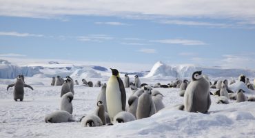 Heat Wave: How to beat the heat while travelling