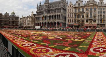 Brussels rolls out the carpet… of flowers