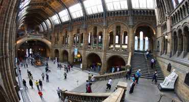 September 25th is National Museum Day in USA