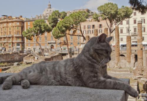 Secret and unusual Rome: 10 places off the tourist path - The Traveller ...