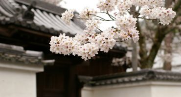 Find your inner zen at these spiritual destinations