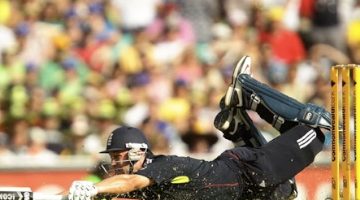 Cricket World Cup 2011: batter up!