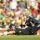 cricket world cup