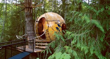 Sweet dreams in a tree hotel