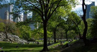 Big deals to the Big Apple: LHR-JFK for £429 on Lufthansa’s A380