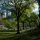 Central Park NYC