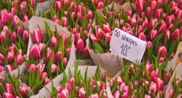 Hot deal to Amsterdam’s markets: Fly from London for £49