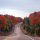 Canada is best in fall