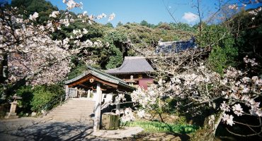 Enlightening destinations: Japan’s 88 Temple Circuit