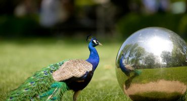 It’s all happening at the zoo