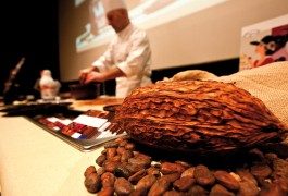 Eurochocolate in Perugia: calling all chocoholics