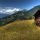 Switzerland