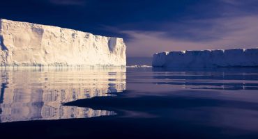 Nature, you’re crazy. Three sights that prove it!