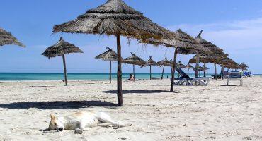 Project Tunisia: 10 million tourists wanted