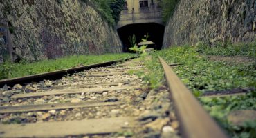 Lost in Paris: on the tracks of Petite Ceinture