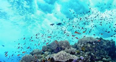 Under the sea: summer dive spots