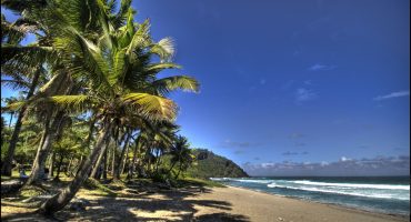 #TTOT round-up: rediscovering the undiscovered