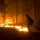 forest-fire