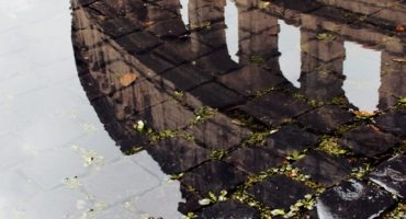 #fridayfinds: reflections