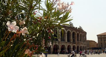 Like a local: Verona