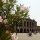 verona-arena
