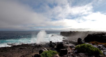 Galapagos cruises: top tips